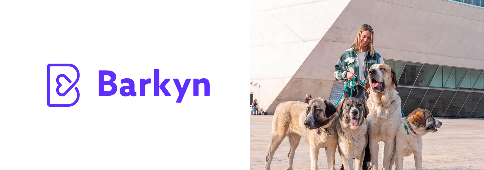 Barkyn - Barkyn