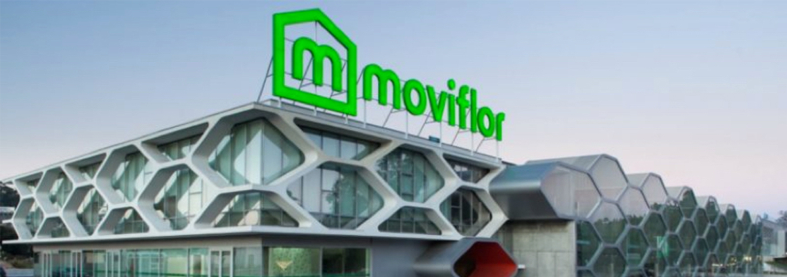 Moviflor logo