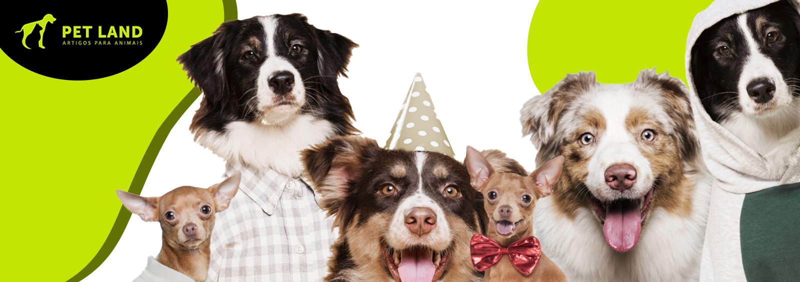 PetLand - PetLand